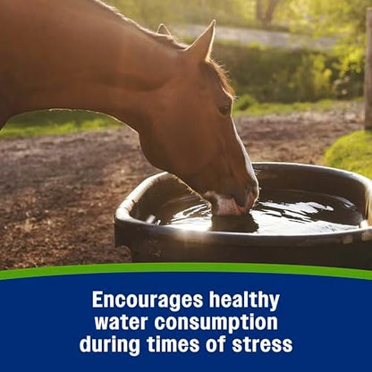 Farnam Apple Elite Electrolyte Paste Supplement for Horses, 60 cc Syringe