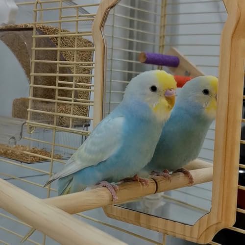 Bird Mirror with Wooden Perch for Parakeet, 21cm Bird Toy for Cage