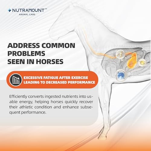 Horse Taurine Supplement Powder for Performance & Nerve Support | Equine Taurine with Magnesium for Focus, Muscle & Stress Balance | Daily Feed Powder 28-Day Supply