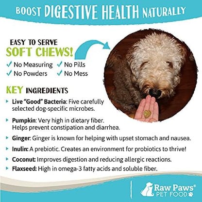 Raw Paws Natural Dog Probiotic Supplement with Prebiotics, 10-oz/100-ct