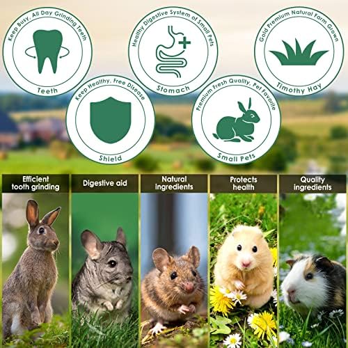 ERKOON 100% Edible Premium Timothy Hay Chew A Bowl for Rabbits, Chinchilla Treats, Chew Toys for Teeth Guinea Pigs and Mice