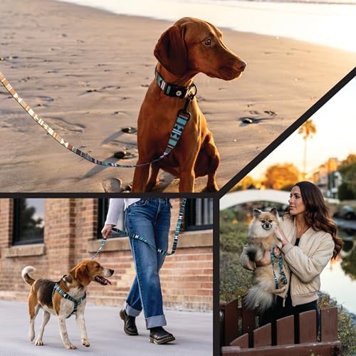 Wolfgang Venture Dog Harness Westernsky Print Large
