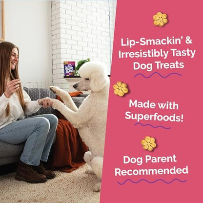 Fruitables Baked Dog Treats, Low Calorie Treats, Pumpkin & Apple, 20oz