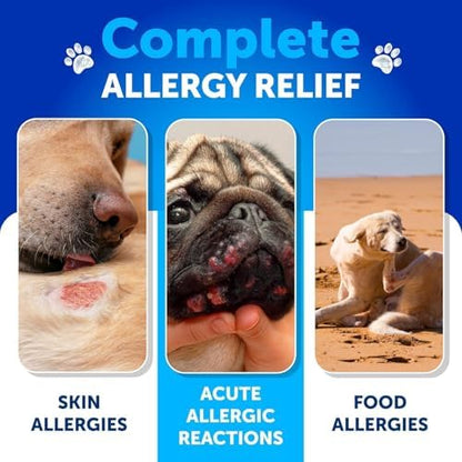 Itch Relief for Dogs - 180 Treats - Dog Allergy Chews - for Skin & Coat