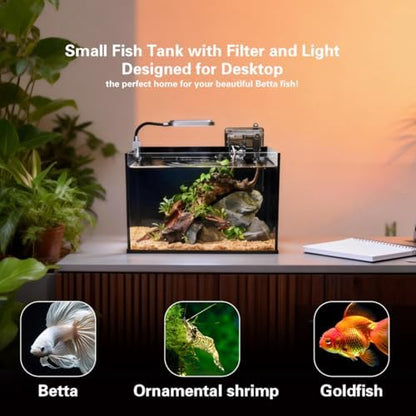 2.8 Gallon Glass Fish Tank,Small Fish Tank with Light and Filter