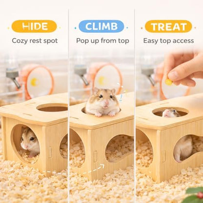 Medium Wooden Hamster Inspired Tunnel with Side & Top Windows Tunnel Toy Dreamy Cloud-Inspired Hideout with Smooth Streamlined Design – Natural Hideout Tube for Dwarf and Syrian Hamsters, Gerbils