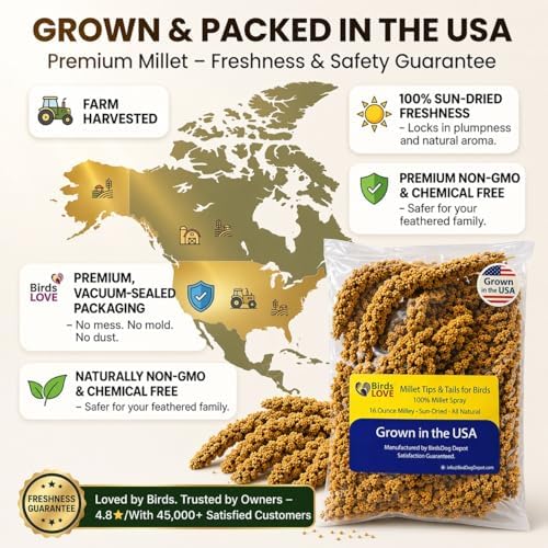 Birds LOVE® 1lb Millet Tips & Tails for Birds – Premium Spray Millet Treat, USA Grown – Natural & Healthy Bird Food for Parakeets, Cockatiels, Budgies, Lovebirds, Finches, Canaries & Parrots – 2 Pack