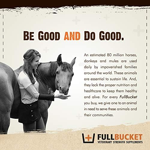 Fullbucket Health Foal Kick Start Immune Paste 80ml