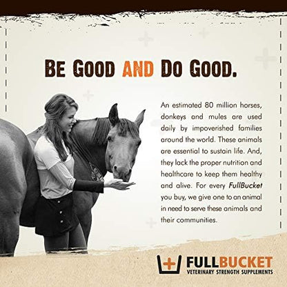 Fullbucket Health Foal Kick Start Immune Paste 80ml (Pack of 2)