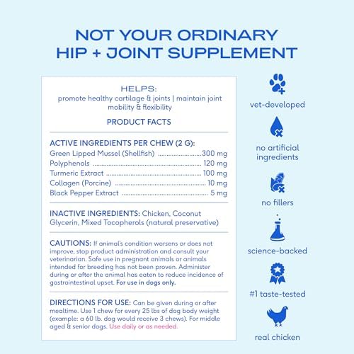 Native Pet Inflammatory Care - Pain Relief for Dogs - Green-Lipped Mussel, Turmeric & Collagen for Dogs - Hip and Joint Supplement Supports Healthy Inflammatory Response & Joint Comfort - 60 Chews