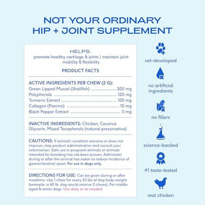 Native Pet Inflammatory Care - Pain Relief for Dogs - Green-Lipped Mussel, Turmeric & Collagen for Dogs - Hip and Joint Supplement Supports Healthy Inflammatory Response & Joint Comfort - 60 Chews