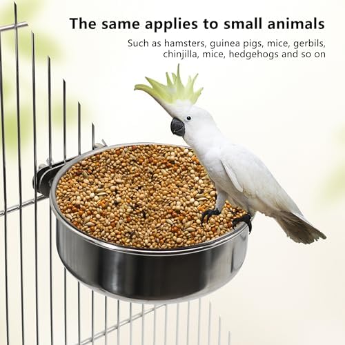 Large Bird Feeding Dish Cups with Clamp Holder, 1 Pack