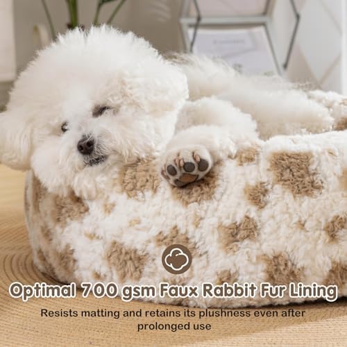Avont Donut Dog Bed, Calming Round Pet Bed for Small & Medium Dogs, Cats