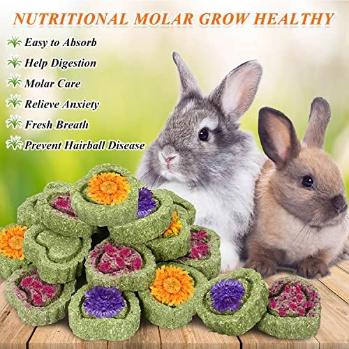 20PCS Bunny Chew Toys for Bunny's Teeth Organic Timothy Hay Cakes