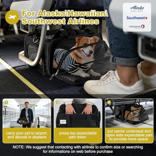 pidipiti 17x11x9.5 Soft-Sided pet Carrier,for Extra-Small Dog or Medium cat