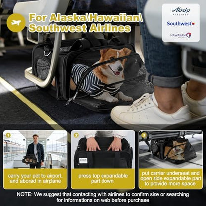 pidipiti 17x11x9.5 Soft-Sided pet Carrier,for Extra-Small Dog or Medium cat