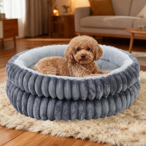 Washable Round Donut Dog Bed,Cat Beds for Indoor Cats(Grey,M)