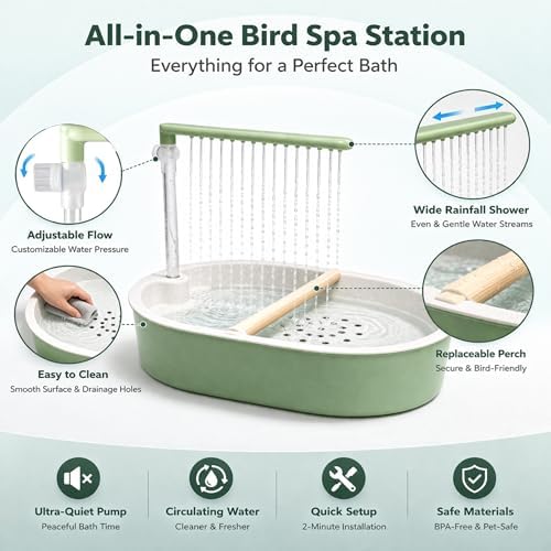 Indoor Bird Bath Fountain, Dual Rainfall Parrot Shower with Anti-Clog Pump & Filter Sponge, Adjustable Water Flow, Natural Beech Wood Perch, Bird Shower Spa for Parakeet, Cockatiel, Lovebird