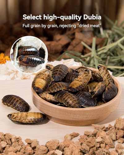 Niteangel Hamster Snack & Treats Toy: Freeze-Dried Dubia & No Additive