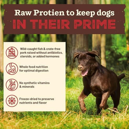Primal Kibble in The Raw, Freeze-Dried Dog Food, Fish & Pork, 1.5 lb
