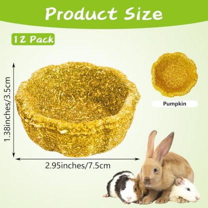 12 Pack Rabbit Chew Toys for Teeth Natural Guinea Pig Toys