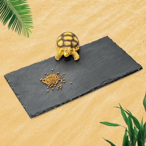 Rock Basking Platform with Bowl & Mat for Reptiles Medium
