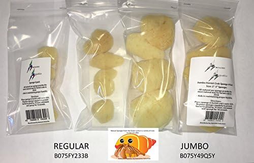 4 Natural Hermit Crab Sea Sponges, Water Dish, Humidity & Habitat