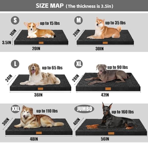 Patas Lague Orthopedic Large Dog Bed Washable Pet Crate Mat 36''X24'' Black