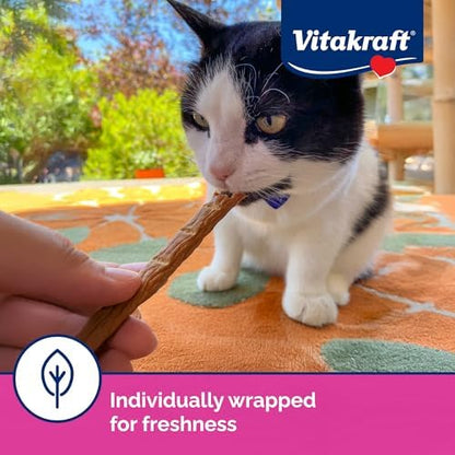 Vitakraft PurrSticks for Cats - Nutritious & Healthy Soft Cat Treats - Gently Oven Roasted Meat Sticks for Cats w/ 70% Meat - Easy-to-Serve Cat Chew Sticks (Salmon, 60 Pack)