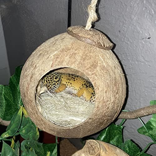 kathson Gecko Coco Hut Lizard Coconut Hide Cave Natural Coconuts Husk Reptile Hanging Nest Habitat Decor Bearded Dragon Terrarium Accessories for Crested Gecko Chameleon Snake Spider (4 PCS)