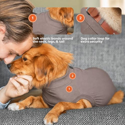 Suitical - The Original Dog Surgery Recovery Suit - Replace E-Collar & Cone - Spay, Neuter, Wounds, Prevent Licking - Large - Neck to Tail 26.4-29.9in - Chest 31-42in - Weight 58-70lbs Sandstone Grey