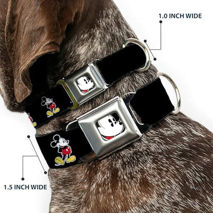 Dog Collar Seatbelt Buckle Jasmine Aladdin Carpet Ride Jasmine Poses Flowers 13 to 18 Inches 1.5 Inch Wide