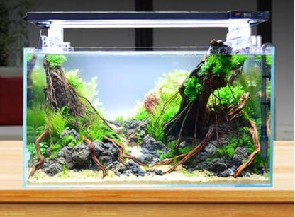 Rimless Low Iron, Glass Aquarium Tank 5mm Thickness Standard Jointed (7.8" L × 8.6" W × 11" H)