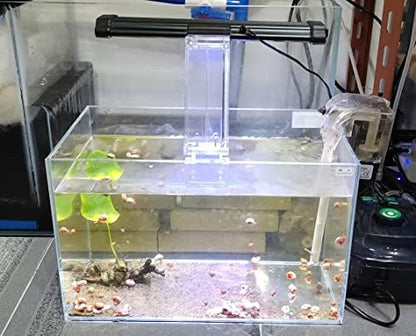 AWXZOM Small Nano Rimless Tank, Clear Glass Fish Tank, 1.1 Gallon, 7.8x5.5x5.9inch/20x14x15cm, Betta Fish Tank