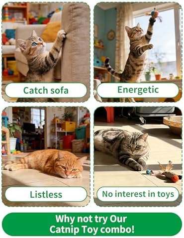 PET SHOW 12 Pack Catnip Toys for Indoor Cats Kitten Crinkle Balls