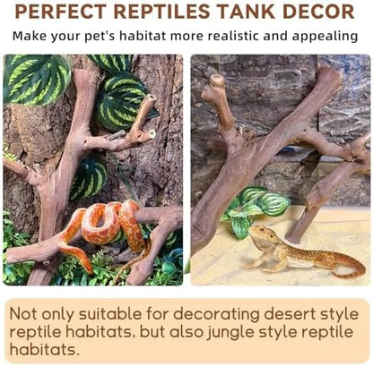 BNOSDM 2PCS Reptile Wood Branches Decor,Lizard Habitat Natural Wood Decoration,Snake Climbing Branch Accessories,Terrarium Tree Trunk Ornament for Bearded Dragon Gecko Frog Chameleon Spider