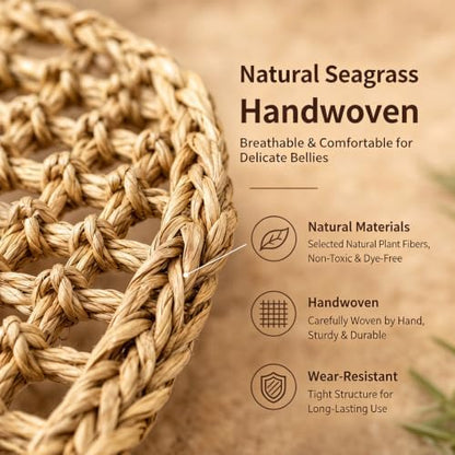 Bearded Dragon Hammock Reptile plant Gecko Tank Accessories Terrarium Decor