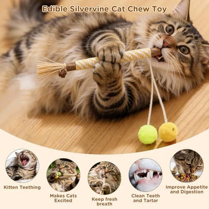 Catnip Toys for Indoor Cats - Silvervine Sticks & Cat Chew Toys for Teeth Cleaning - Refillable Natural Catnip & Silvervine Kit for Kittens & Adult Cats - 8 Pack