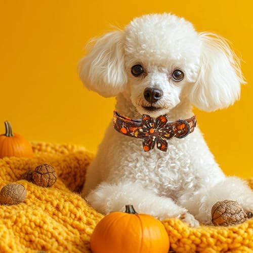 Elegant little tail Fall Dog Collar, Halloween Pet Collars with Bow Cute Pumpkin Print Puppy Collar Female or Male Cotton Adjustable Collars for Small Medium Large Dogs