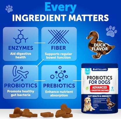 Probiotics for Dogs - 70 Chews - Dog Yeast Probiotic - Dog Probiotics