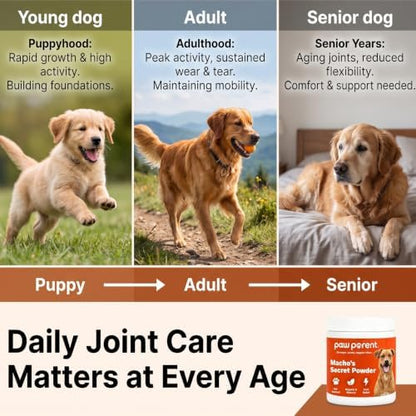 Paw Parent Macho's Secret Powder, Green Lipped Mussel Hip & Joint Powder for Dogs, Spine and Disc Powders, Cardiac Shield Formula with Glucosamine, Msm & Omega-3 for Mobility Support，2Pc