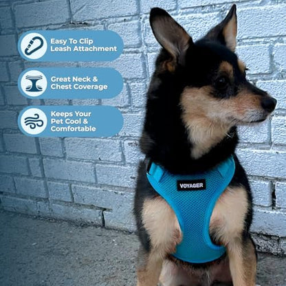 Best Pet Supplies Voyager Step-in Lock Pet Harness w Reflective Pet Leash Combo Set with Neoprene Handle 5ft - Supports Small, Medium and Large Breed Puppies/Cats - Turquoise Set, L