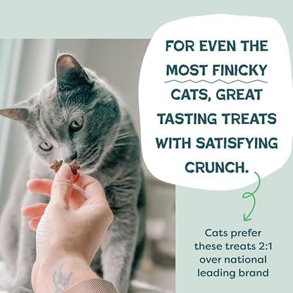 Shameless Pets Catnip N Chill Crunchy Cat Treats (Pack of 2)