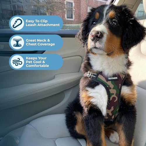 Best Pet Supplies Voyager Step-in Lock Pet Harness w Reflective Pet Leash Combo Set with Neoprene Handle 5ft - Supports Small, Medium and Large Breed Puppies/Cats - Army/Black Trim, S
