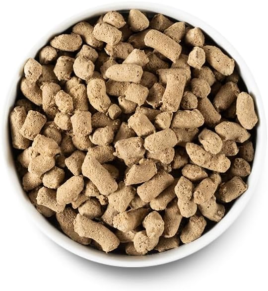 Open Farm Freeze Dried Raw Dog Food, Lamb Bite-Sized Morsels, 22oz Bag
