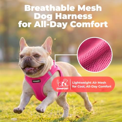 Voyager Step-in Air Dog Vest Harness - Fuchsia, XX-Small