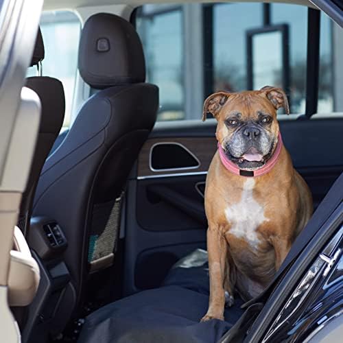 Amazon Basics Waterproof Dog Car Seat Cover, Scratch Proof Protector for Pet, Car Back Bench, 56 x 47 inch, Black