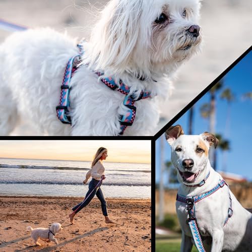 Wolfgang Venture Dog Harness Buenaonda Print Medium