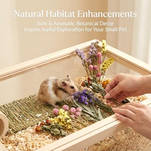 Sukh Natural Hamster Bedding Sprays - Floral Forage Cage Accessories