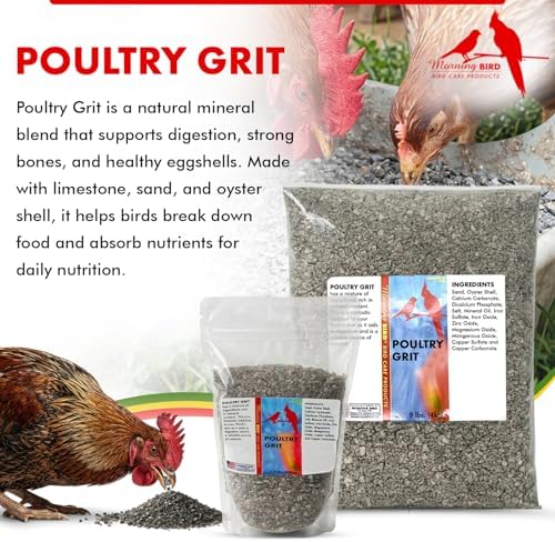 Morning Bird Poultry Grit for Chicken 1.5 lb, Mineral-Rich Chicken Grit Formula for Digestion & Calcium Support